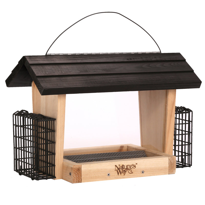 Nature's Way 6Qt Wild Hopper Bird Feeder With Suet Holder & Reviews Wayfair